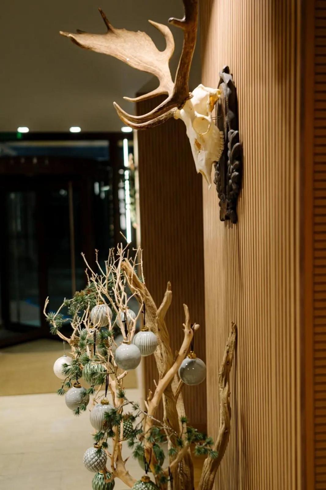 The Lodge Hotel ボロヴェッツ エクステリア 写真